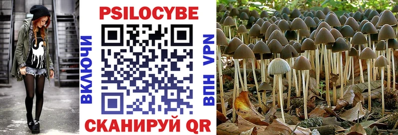 Псилоцибиновые грибы GOLDEN TEACHER  shop формула  Омск 